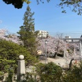 実際訪問したユーザーが直接撮影して投稿した八幡町神社六甲八幡神社の写真