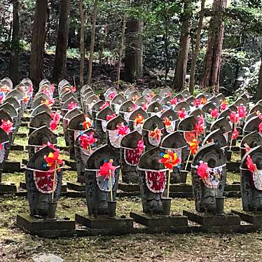 ははみんさんが投稿した松尾寺寺のお店金剛輪寺/コンゴウリンジの写真