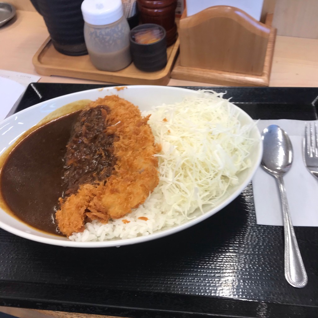 ユーザーが投稿したカツカレー(ケ)の写真 - 実際訪問したユーザーが直接撮影して投稿した南三条西とんかつかつや 札幌すすきの店の写真