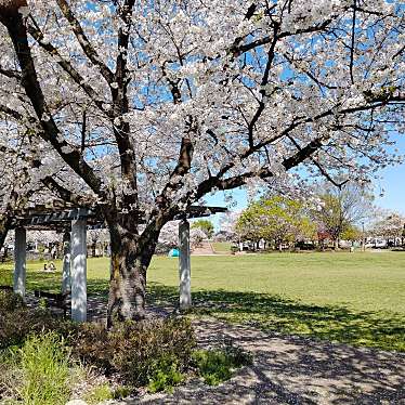 朱雀中央公園のundefinedに実際訪問訪問したユーザーunknownさんが新しく投稿した新着口コミの写真