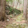 実際訪問したユーザーが直接撮影して投稿した木本町山 / 峠松本峠の写真