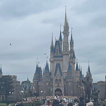 東京ディズニーランドのundefinedに実際訪問訪問したユーザーunknownさんが新しく投稿した新着口コミの写真