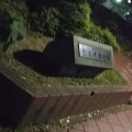 実際訪問したユーザーが直接撮影して投稿した白鷺公園鷺宮運動広場の写真