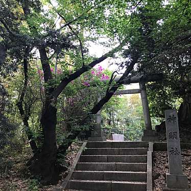 実際訪問したユーザーが直接撮影して投稿した亥鼻公園亥鼻公園の写真