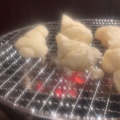 実際訪問したユーザーが直接撮影して投稿した薗焼肉炭火焼肉 さかい 御坊店の写真