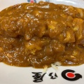 カツカレー - 実際訪問したユーザーが直接撮影して投稿した麹町カレー日乃屋カレー 半蔵門店の写真のメニュー情報