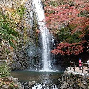 ぽんぽこ2さんが投稿した箕面公園滝 / 渓谷のお店箕面大滝/ミノオオオタキの写真