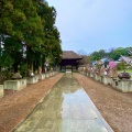 実際訪問したユーザーが直接撮影して投稿した堀工町寺茂林寺の写真