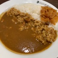 ポークカレー - 実際訪問したユーザーが直接撮影して投稿した河辺カレーCoCo壱番屋 津山インター店の写真のメニュー情報