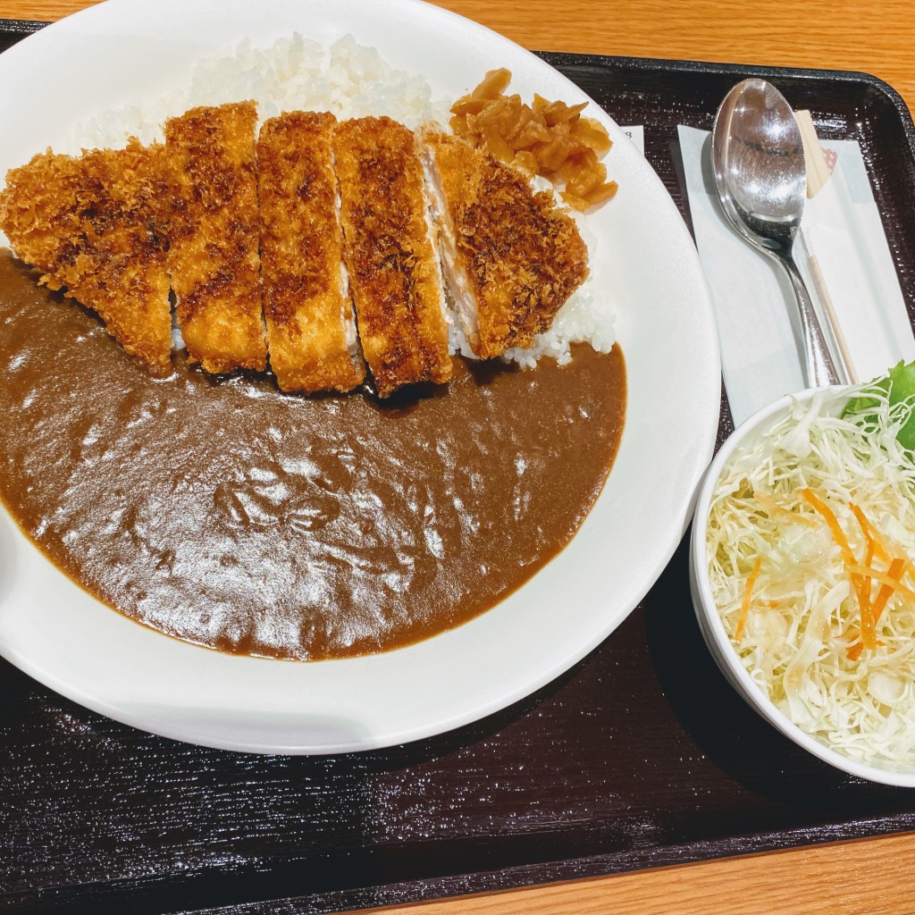 ユーザーが投稿したカツカレーの写真 - 実際訪問したユーザーが直接撮影して投稿した上富ステーキ肉処 壱丁田の写真