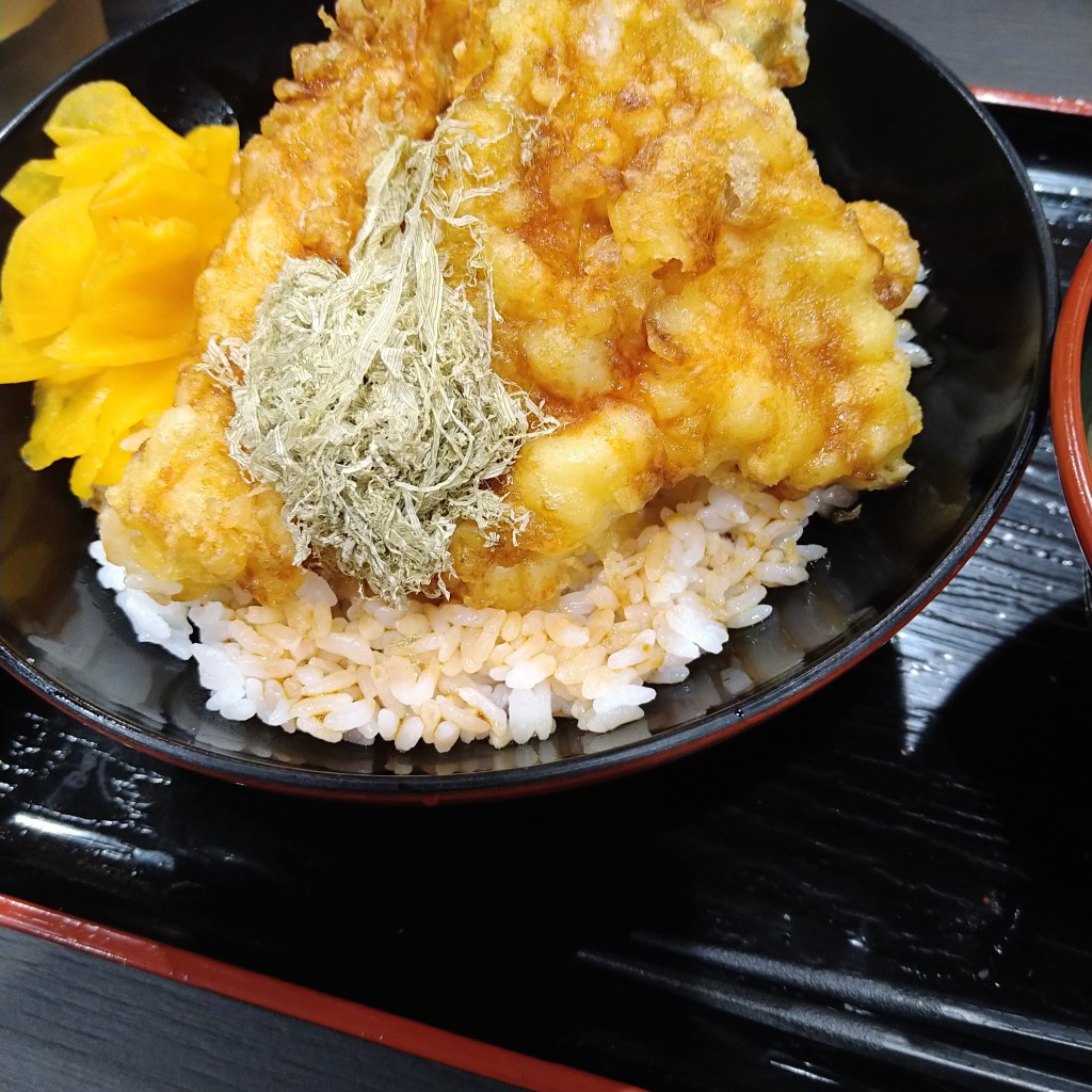 ユーザーが投稿した天丼 ミニうどん付の写真 - 実際訪問したユーザーが直接撮影して投稿した下川東うどん資さんうどん 都城川東店の写真