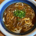 カレーうどん - 実際訪問したユーザーが直接撮影して投稿した奥町うどん釜揚げ饂飩 鈴家の写真のメニュー情報