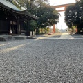 実際訪問したユーザーが直接撮影して投稿した宮下町地域名所川越氷川神社 大鳥居の写真