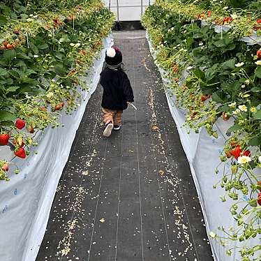 農園ガーデン空 ひみつの花園のundefinedに実際訪問訪問したユーザーunknownさんが新しく投稿した新着口コミの写真