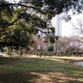 実際訪問したユーザーが直接撮影して投稿した百舌鳥夕雲町公園大仙公園の写真