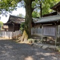 実際訪問したユーザーが直接撮影して投稿した海津町油島神社治水神社の写真