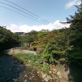 実際訪問したユーザーが直接撮影して投稿した南中野山 / 峠中野もみじ山の写真