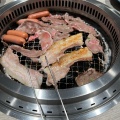 土日祝昼大人 - 実際訪問したユーザーが直接撮影して投稿した黒山焼肉YAKINIKU BUFFET左近 ららぽーと堺店の写真のメニュー情報