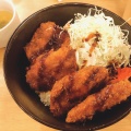 ランチ ソースカツ丼 - 実際訪問したユーザーが直接撮影して投稿した赤坂焼鳥白金気鶏の写真のメニュー情報