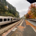 実際訪問したユーザーが直接撮影して投稿した篠栗地域名所南蔵院涅槃像の写真