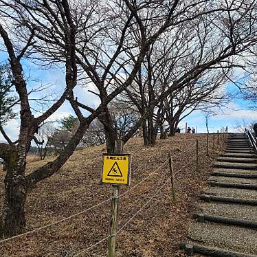 実際訪問したユーザーが直接撮影して投稿した根原展望台 / 展望施設朝霧高原 富士山展望台の写真