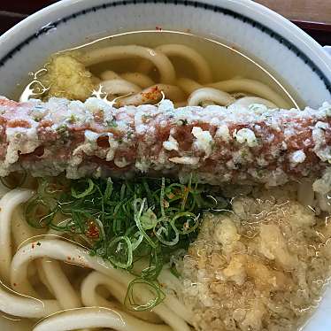  岡じまうどん 多度津店のundefinedに実際訪問訪問したユーザーunknownさんが新しく投稿した新着口コミの写真