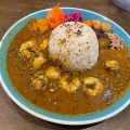 実際訪問したユーザーが直接撮影して投稿した梅田カレースパイスカレー Rocheの写真