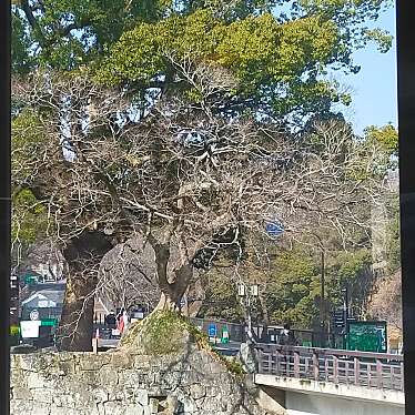 実際訪問したユーザーが直接撮影して投稿した桜町カレー勧業館食堂の写真