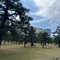 実際訪問したユーザーが直接撮影して投稿した皇居外苑公園和田倉噴水公園の写真