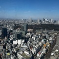 実際訪問したユーザーが直接撮影して投稿した渋谷バーTHE ROOF SHIBUYA SKYの写真