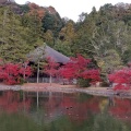 実際訪問したユーザーが直接撮影して投稿した内郷白水町寺白水阿弥陀堂の写真