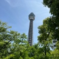 実際訪問したユーザーが直接撮影して投稿した山下町公園山下公園の写真