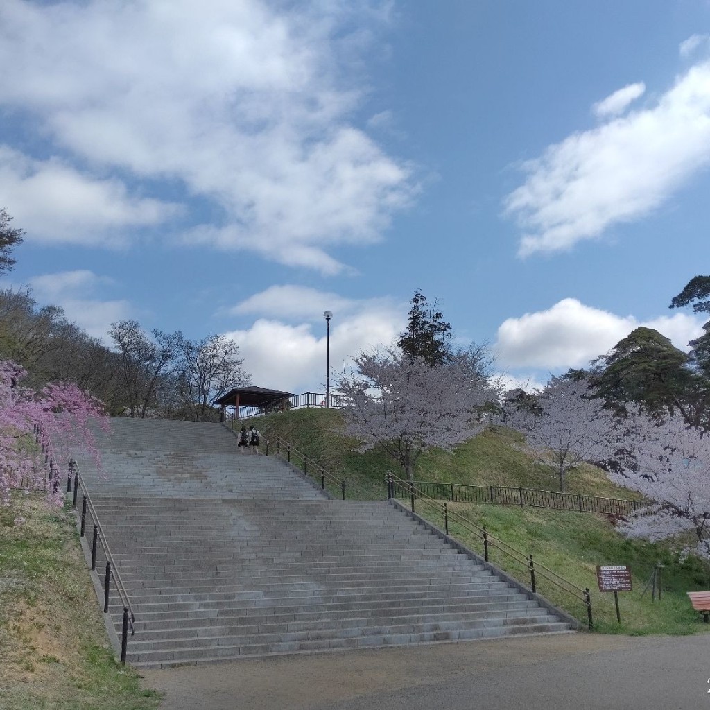 実際訪問したユーザーが直接撮影して投稿した太子堂公園信夫山公園の写真