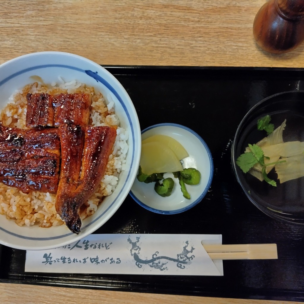 ユーザーが投稿したうな丼の写真 - 実際訪問したユーザーが直接撮影して投稿した舟橋町宮北うなぎなまずや 羽島分店の写真
