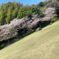 実際訪問したユーザーが直接撮影して投稿した平川町公園錦江湾公園の写真