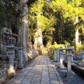 実際訪問したユーザーが直接撮影して投稿した高野山寺金剛峯寺 奥之院の写真