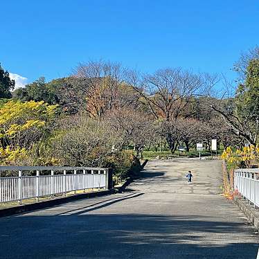実際訪問したユーザーが直接撮影して投稿した千里万博公園庭園梅林の写真