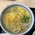 かけうどん - 実際訪問したユーザーが直接撮影して投稿した滝宮うどんさぬきうどんの駅 綾川の写真のメニュー情報