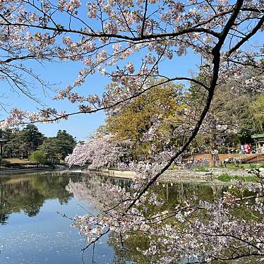 大宮公園のundefinedに実際訪問訪問したユーザーunknownさんが新しく投稿した新着口コミの写真