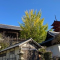 実際訪問したユーザーが直接撮影して投稿した宮島町文化財千畳閣の写真
