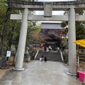 実際訪問したユーザーが直接撮影して投稿した香椎神社香椎宮の写真