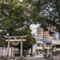 実際訪問したユーザーが直接撮影して投稿した千住宮元町神社千住神社の写真