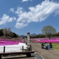 実際訪問したユーザーが直接撮影して投稿した箕郷町松之沢公園みさと芝桜公園の写真