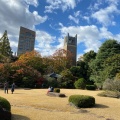 実際訪問したユーザーが直接撮影して投稿した戸塚町庭園大隈庭園の写真