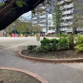 実際訪問したユーザーが直接撮影して投稿した江東橋公園江東橋公園の写真