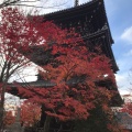 実際訪問したユーザーが直接撮影して投稿した浄土寺真如町寺真正極楽寺三重塔の写真