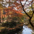 実際訪問したユーザーが直接撮影して投稿した岩屋町公園岩屋堂公園の写真