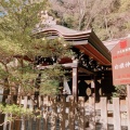 実際訪問したユーザーが直接撮影して投稿した雪ノ下神社白旗神社の写真