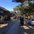 実際訪問したユーザーが直接撮影して投稿した登大路町公園奈良公園 登大路園地の写真