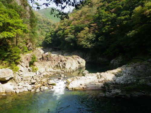 実際訪問したユーザーが直接撮影して投稿した阿東徳佐中滝 / 渓谷長門峡の写真